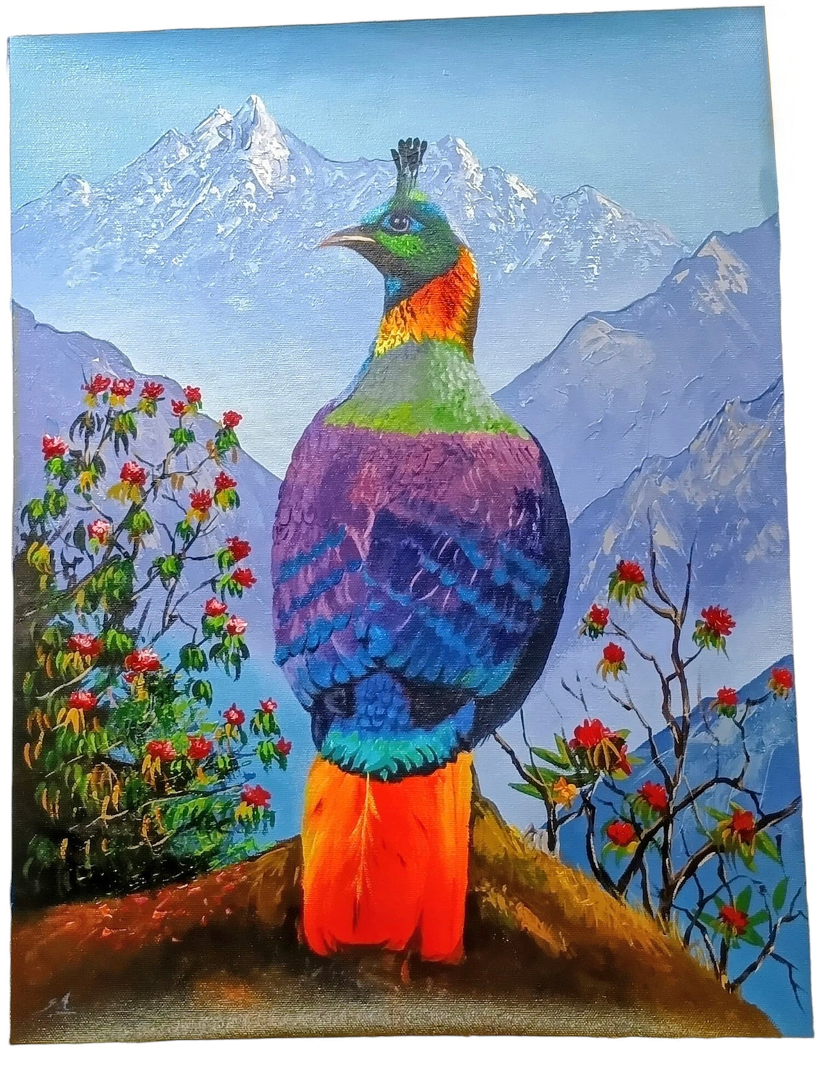 Danphe, Nepal’s National Bird, Himalayan Mountain Artwork